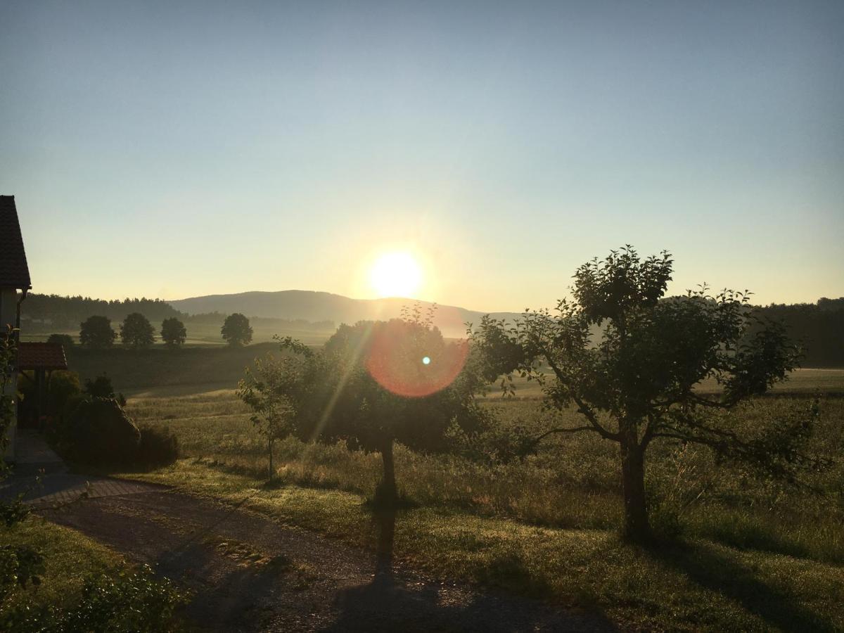 Ferienwohnung Im Idyll 1 Hengersberg Esterno foto